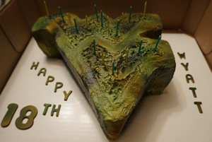 WVU Camo Cake