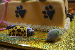 Kitty Cake