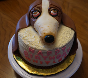 Dog Cake