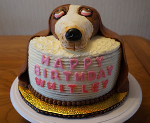 Dog Cake