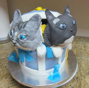 Rag Doll Cats in a Hat Box Cake