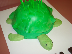 Turtle Cake