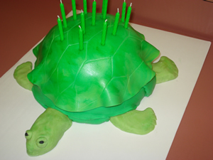 Turtle Cake