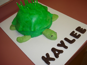 Turtle Cake